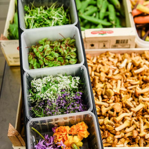 cuisine-gastronomique-marais-poitevin