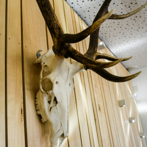 grand-restaurant-poitou-charentes-niort