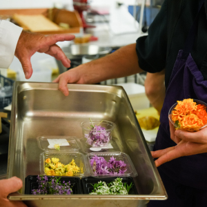 menu-du-marche-gastronomique-niort