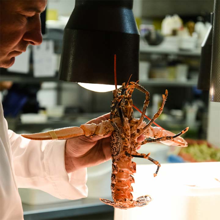 Menu Homards du Restaurant Gastronomique l'Adress